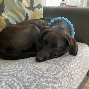 ** 3 for $40 **  select pants are 3 for $40! Just bundle and offer!  😀